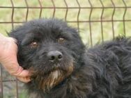 Der kleine Bär mit dem großen Herzen - München