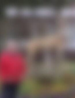 Ann*** - Hoyerswerda