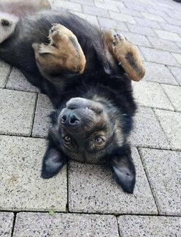 Rettest du mich ? DRINGEND - Alfdorf