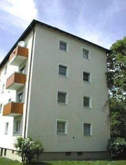 Neu-renovierte 2,5 Zimmer-Wohnung - Heidenheim (Brenz)