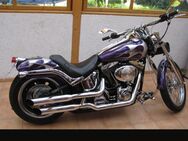 Harley Softail, V-twin1400 Vergaser,gepflegt - Trossingen