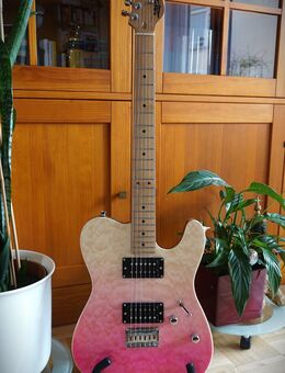 JET-JT-450 T-Style Guitar - Bochum