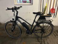 Raleigh Trekking E-Bike - Haselünne Zentrum