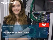 SAP S/4HANA Spezialist (m/w/d) - Ulm