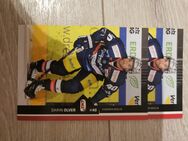 Eisbären Berlin Playercards - Berlin Marzahn-Hellersdorf