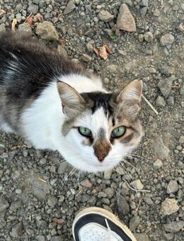 Blaga - die sanfte Schönheit - Kirchheim (München)