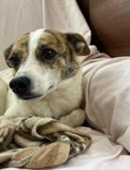 Riley sucht ihre große Chance - Kallmünz