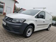 VW Caddy 2.0TDI Maxi Kasten BMT AHK Regal - Garrel