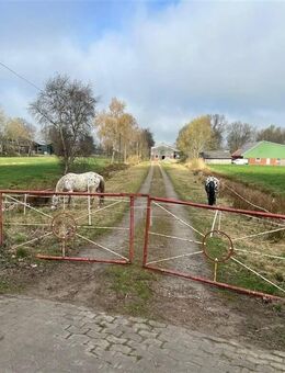 Ideal für Pferdehalter! Resthof mit Pferdeboxen und 4 ha Weideland am Haus! Odisheim - Odisheim