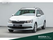 Skoda Fabia, 1.0 Combi Active FREISP, Jahr 2018 - Mühlheim (Main)