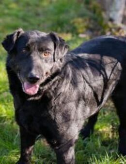 INGMAR - stolz an deiner Seite laufen - Overath