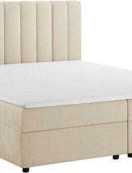 OTTO home Boxbett Haileyy inkl. Bettkasten und Topper, Liegefläche 180x200cm, erhältlich in der Größe 180x200 cm