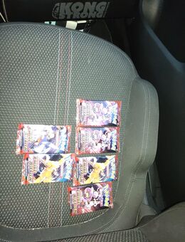 Pokemon Ewige Rivalen/Reisegefährten Booster Packs - Wiesbaden