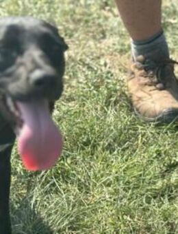 Hetty sucht ihr Glück - Nordwalde