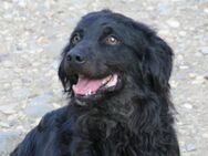Ralf sucht Freund/e fürs Leben - Schwabach