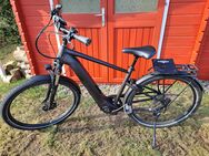 E Bike Pegasus zu verkaufen - Schacht-Audorf