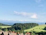 2 Zi Wohnung mit Terrasse in mitten der wundervollen Natur im Schwarzwald - Herrischried