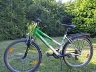 Jugendrad, rad,fahrrad - Gräfelfing