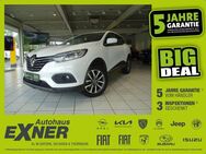 Renault Kadjar 1.3 TCe 140 BUSINESS EDITION Automatik - Hof