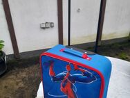 Cooler Spiderman - Kinder - Trolley - Grävenwiesbach