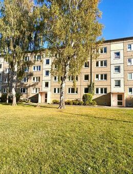 Kapitalanlage mit Zukunft - attraktiver Wohnblock mit großem Entwicklungspotential - Ballenstedt