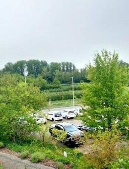 Gut vermietetes Apartment in der Rheingauresidenz - Geisenheim