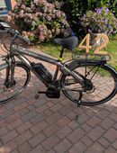 E Bike Centurion e-fire 408 EQ Rh 46 in 27476