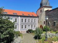 EUPORA® Immobilien: "Erstbezug", sanierte Wohnung in der Altstadt in Kirchheimbolanden. - Kirchheimbolanden