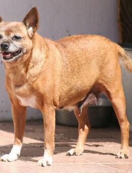 CHUSCA - Paten für unsere Omi ❤️ - Neudenau