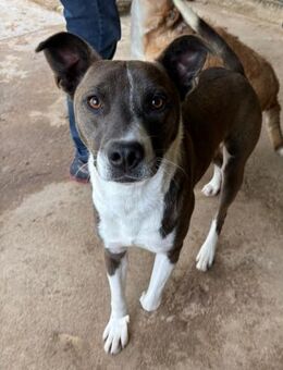 MÖCHTEN SIE MIT MILO ABENTEUER ERLEBEN?! - Mönchengladbach