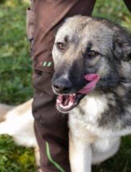 AKIDO - mit euch freundlich unterwegs - Overath