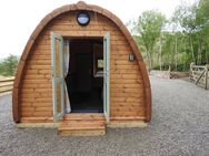 Camping NEU POD Glamping L590 B300cm 45mm Kiefer - Rietberg