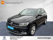 VW Tiguan, 2.0 TDI Highline, Jahr 2016 - Lüneburg