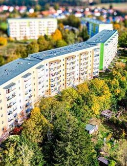 Bestens sanierte 2-Raum-Wohnung in Zwickau - Zwickau