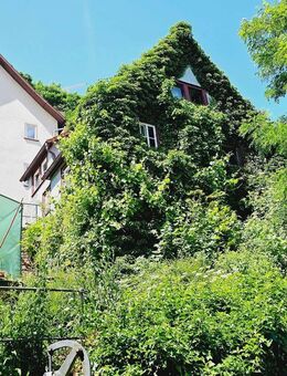 Haus in Rothenfels - (möbliert) zu vermieten - Rothenfels