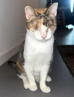 CAROLINE - Blindchen möchte kuscheln statt gucken - Berlin