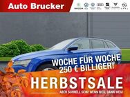 Skoda Superb Combi Ambition 4x4 2.0 TDI+AHK+Navi+Alufelgen+Sitzheizung - Marktredwitz