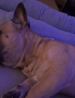 Mein Name ist Buddha - Köln