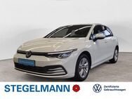 VW Golf, 1.5 TSI VIII Life, Jahr 2024 - Lemgo