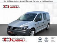 VW Caddy, 1.4 l TSI Maxi Kasten, Jahr 2019 - Haldensleben