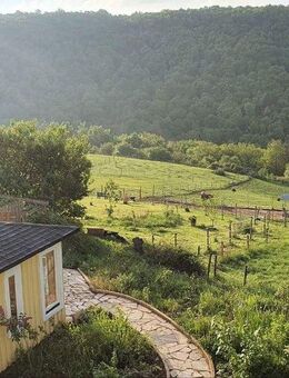 Idyllischer, sanierter Pferdehof mit 9 ha Weideland - Brauweiler