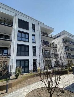 Lichtdurchflutete Wohnung zu vermieten - Bullay