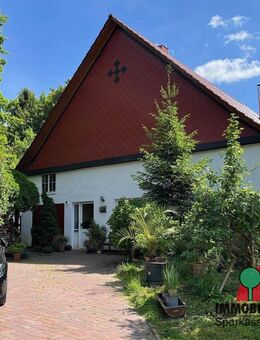 Geräumiges Einfamilienhaus in bester Nachbarschaft - Rinteln