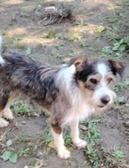 quirliger Düse sucht - Kallmünz