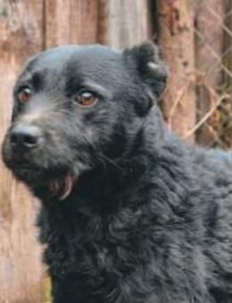 Strahlemann Mupi sucht seine Menschen - München