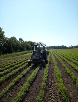 Kaufmännischer Mitarbeiter (m/w/d) für Bio-Gemüsehof - Hallbergmoos