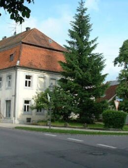 Historisch schön Wohnen in Oberdischingen - Sanierungsobjekt mit weiteren Optionen - Oberdischingen