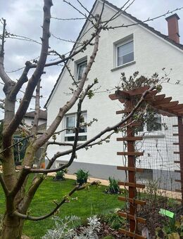 Modernes Einfamilienhaus in Rüsselsheim - Rüsselsheim