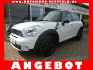 Mini Cooper S Countryman Klimaaut Pano Xenon 17Alus - Seevetal