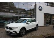 VW Tiguan Life 2.0 TDI DSG Panodach,ACC,LED,BT - Wildberg (Baden-Württemberg)